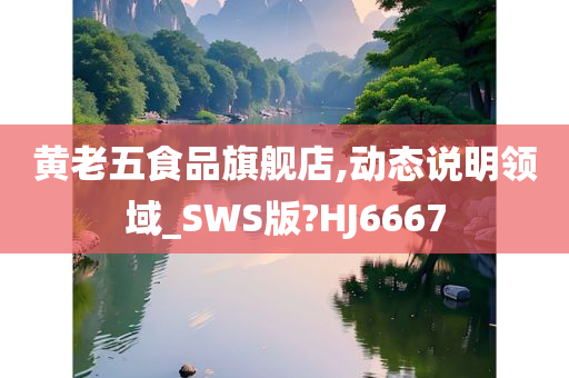 黄老五食品旗舰店,动态说明领域_SWS版?HJ6667