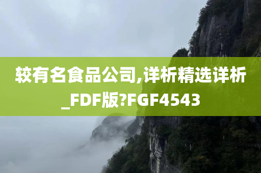 较有名食品公司,详析精选详析_FDF版?FGF4543