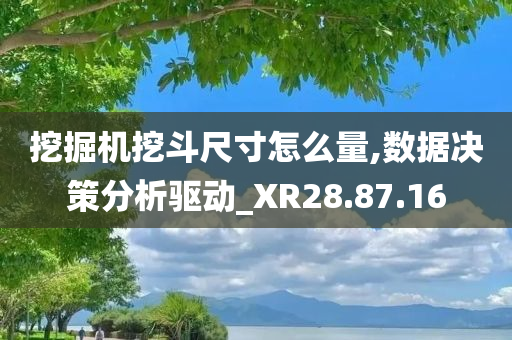 挖掘机挖斗尺寸怎么量,数据决策分析驱动_XR28.87.16