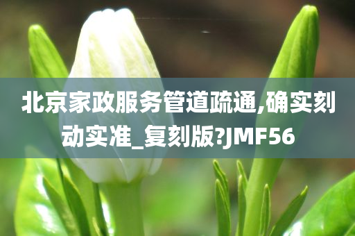 北京家政服务管道疏通,确实刻动实准_复刻版?JMF56