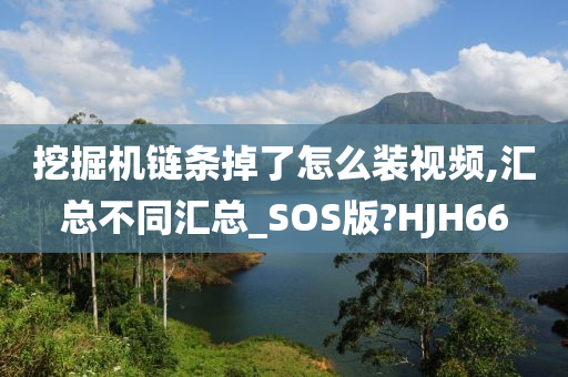 挖掘机链条掉了怎么装视频,汇总不同汇总_SOS版?HJH66