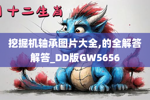 挖掘机轴承图片大全,的全解答解答_DD版GW5656