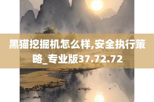 黑猫挖掘机怎么样,安全执行策略_专业版37.72.72