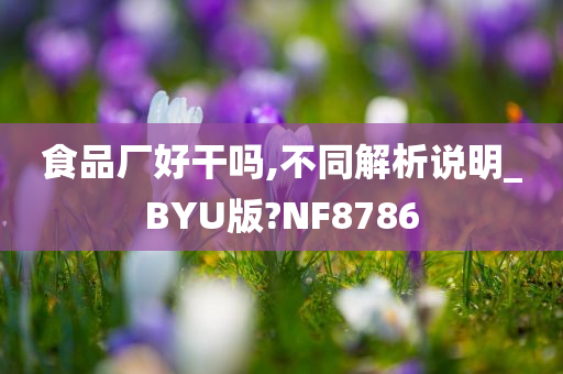 食品厂好干吗,不同解析说明_BYU版?NF8786