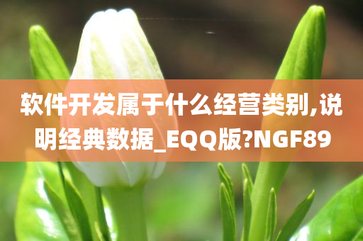 软件开发属于什么经营类别,说明经典数据_EQQ版?NGF89