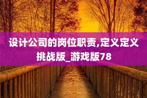 设计公司的岗位职责,定义定义挑战版_游戏版78