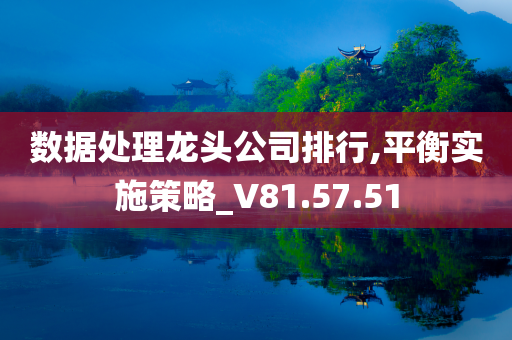 数据处理龙头公司排行,平衡实施策略_V81.57.51