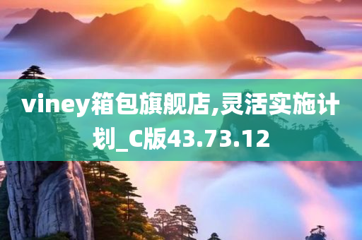 viney箱包旗舰店,灵活实施计划_C版43.73.12