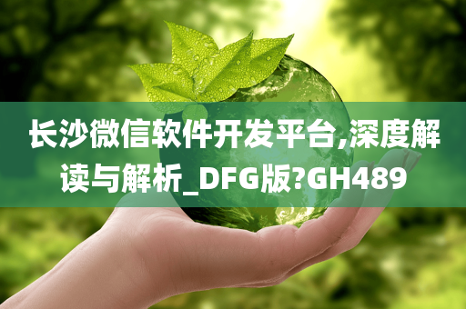 长沙微信软件开发平台,深度解读与解析_DFG版?GH489