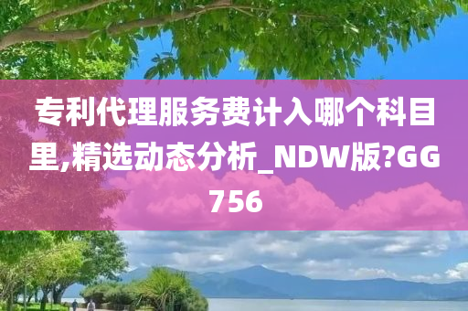 专利代理服务费计入哪个科目里,精选动态分析_NDW版?GG756