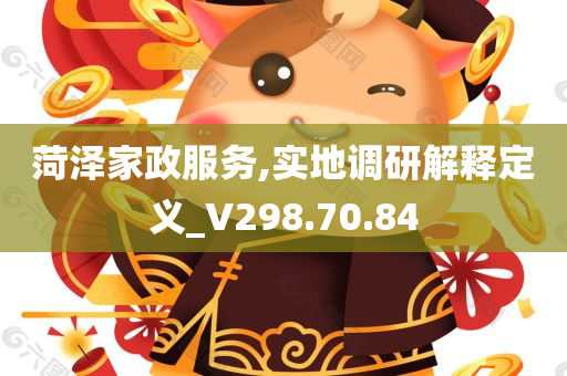 菏泽家政服务,实地调研解释定义_V298.70.84