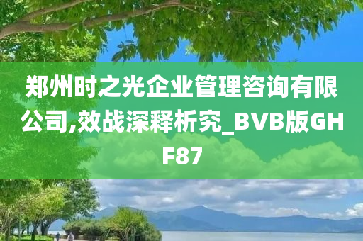 郑州时之光企业管理咨询有限公司,效战深释析究_BVB版GHF87