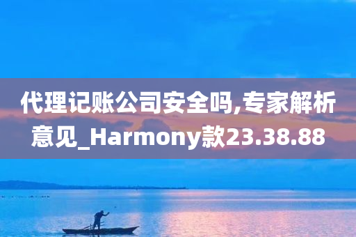 代理记账公司安全吗,专家解析意见_Harmony款23.38.88