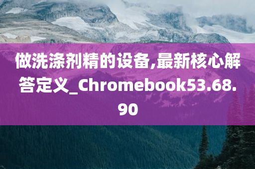 做洗涤剂精的设备,最新核心解答定义_Chromebook53.68.90