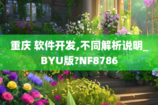 重庆 软件开发,不同解析说明_BYU版?NF8786