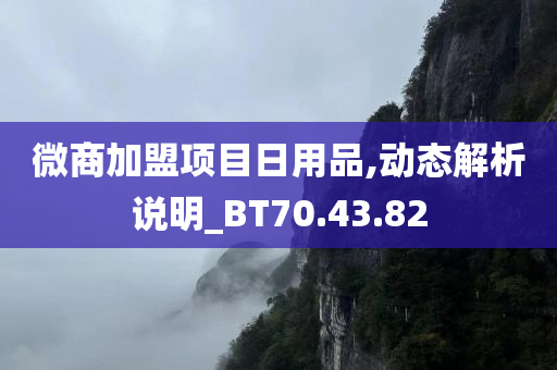 微商加盟项目日用品,动态解析说明_BT70.43.82