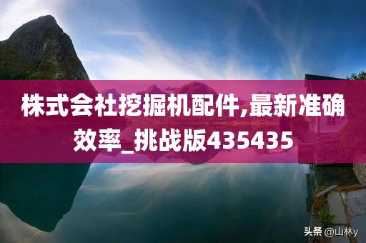 株式会社挖掘机配件,最新准确效率_挑战版435435