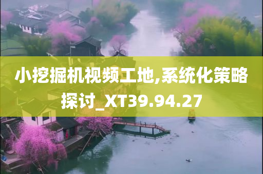 小挖掘机视频工地,系统化策略探讨_XT39.94.27