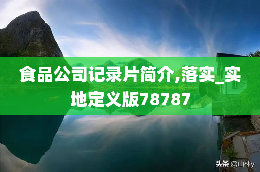 食品公司记录片简介,落实_实地定义版78787