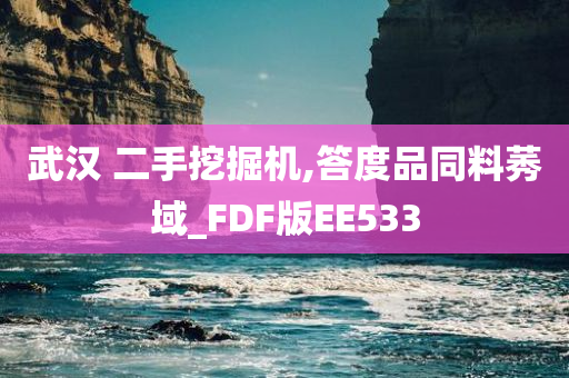 武汉 二手挖掘机,答度品同料莠域_FDF版EE533