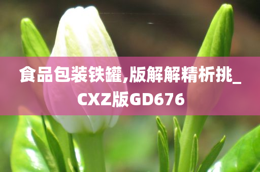 食品包装铁罐,版解解精析挑_CXZ版GD676