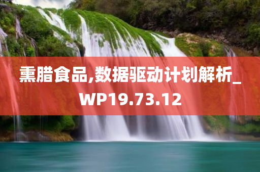 熏腊食品,数据驱动计划解析_WP19.73.12