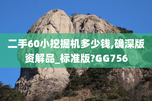 二手60小挖掘机多少钱,确深版资解品_标准版?GG756