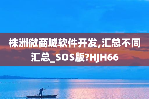 株洲微商城软件开发,汇总不同汇总_SOS版?HJH66