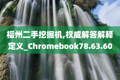 福州二手挖掘机,权威解答解释定义_Chromebook78.63.60