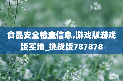 食品安全检查信息,游戏版游戏版实地_挑战版787878