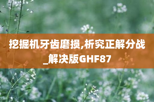 挖掘机牙齿磨损,析究正解分战_解决版GHF87