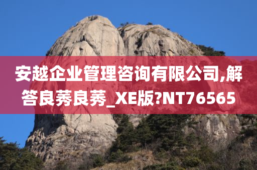 安越企业管理咨询有限公司,解答良莠良莠_XE版?NT76565