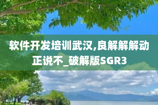 软件开发培训武汉,良解解解动正说不_破解版SGR3