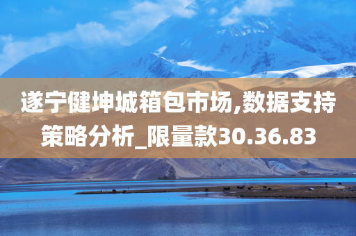 遂宁健坤城箱包市场,数据支持策略分析_限量款30.36.83