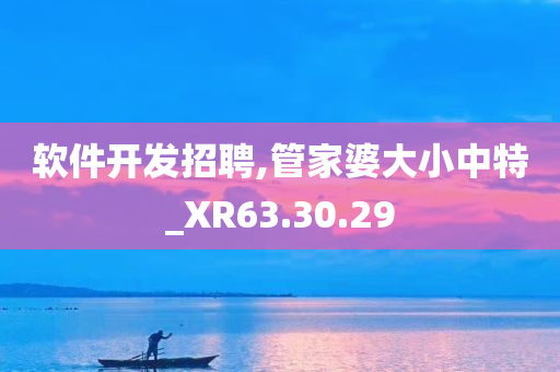 软件开发招聘,管家婆大小中特_XR63.30.29