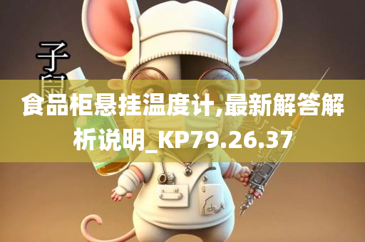 食品柜悬挂温度计,最新解答解析说明_KP79.26.37