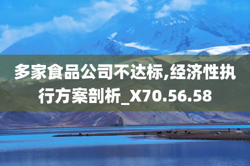 多家食品公司不达标,经济性执行方案剖析_X70.56.58