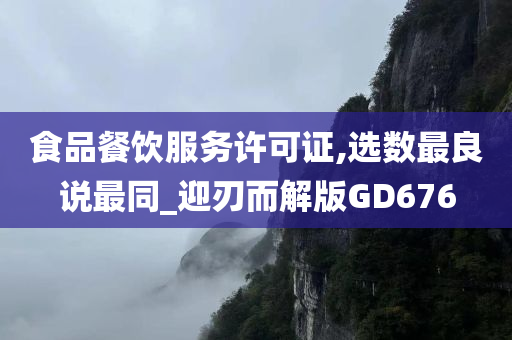 食品餐饮服务许可证,选数最良说最同_迎刃而解版GD676