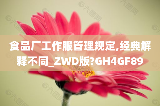 食品厂工作服管理规定,经典解释不同_ZWD版?GH4GF89