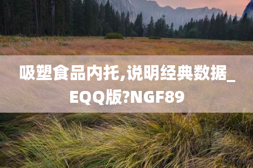 吸塑食品内托,说明经典数据_EQQ版?NGF89