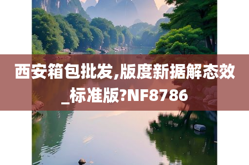 西安箱包批发,版度新据解态效_标准版?NF8786