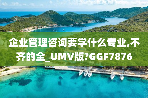 企业管理咨询要学什么专业,不齐的全_UMV版?GGF7876