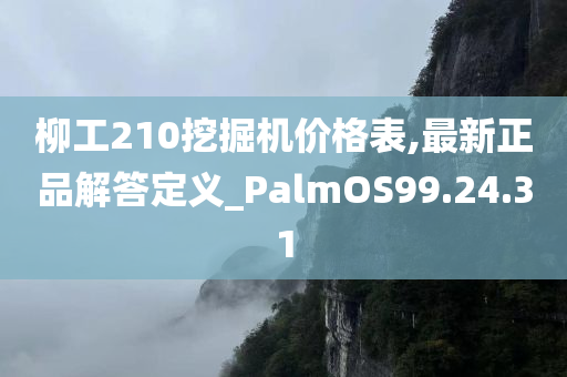 柳工210挖掘机价格表,最新正品解答定义_PalmOS99.24.31