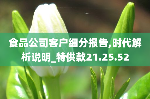 食品公司客户细分报告,时代解析说明_特供款21.25.52