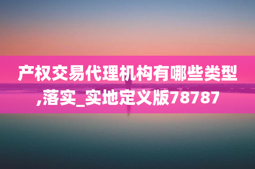 产权交易代理机构有哪些类型,落实_实地定义版78787