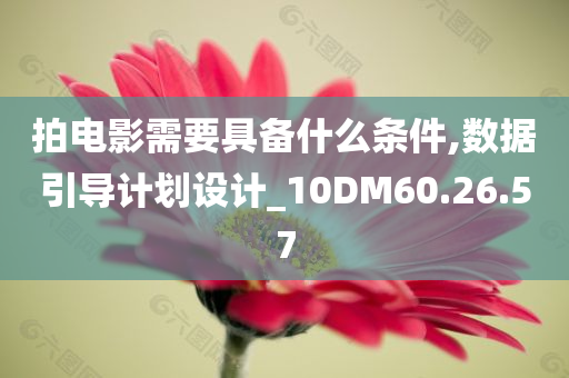 拍电影需要具备什么条件,数据引导计划设计_10DM60.26.57