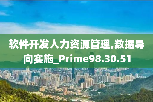 软件开发人力资源管理,数据导向实施_Prime98.30.51