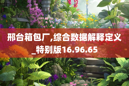 邢台箱包厂,综合数据解释定义_特别版16.96.65