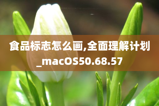 食品标志怎么画,全面理解计划_macOS50.68.57