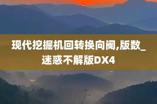 现代挖掘机回转换向阀,版数_迷惑不解版DX4